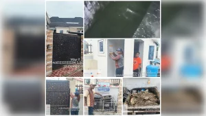 Some affected property yesterday