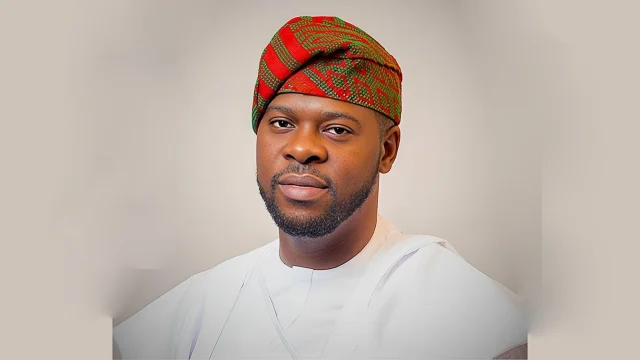Chief Executive Officer, FBSS Nigeria Limited, Bukunyi Olagbegi