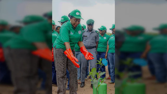 COWA begins mass tree planting
