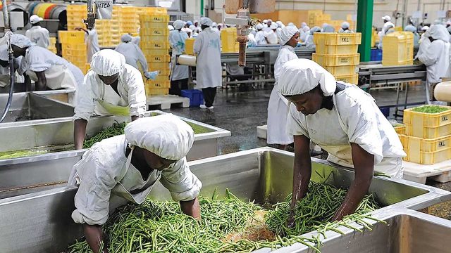 AGRO-PROCESSING