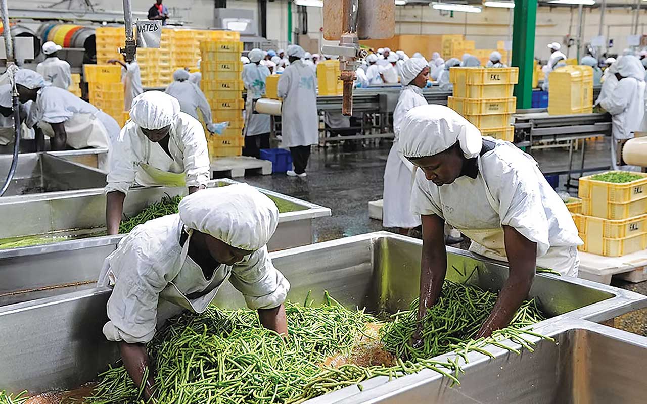 AGRO-PROCESSING