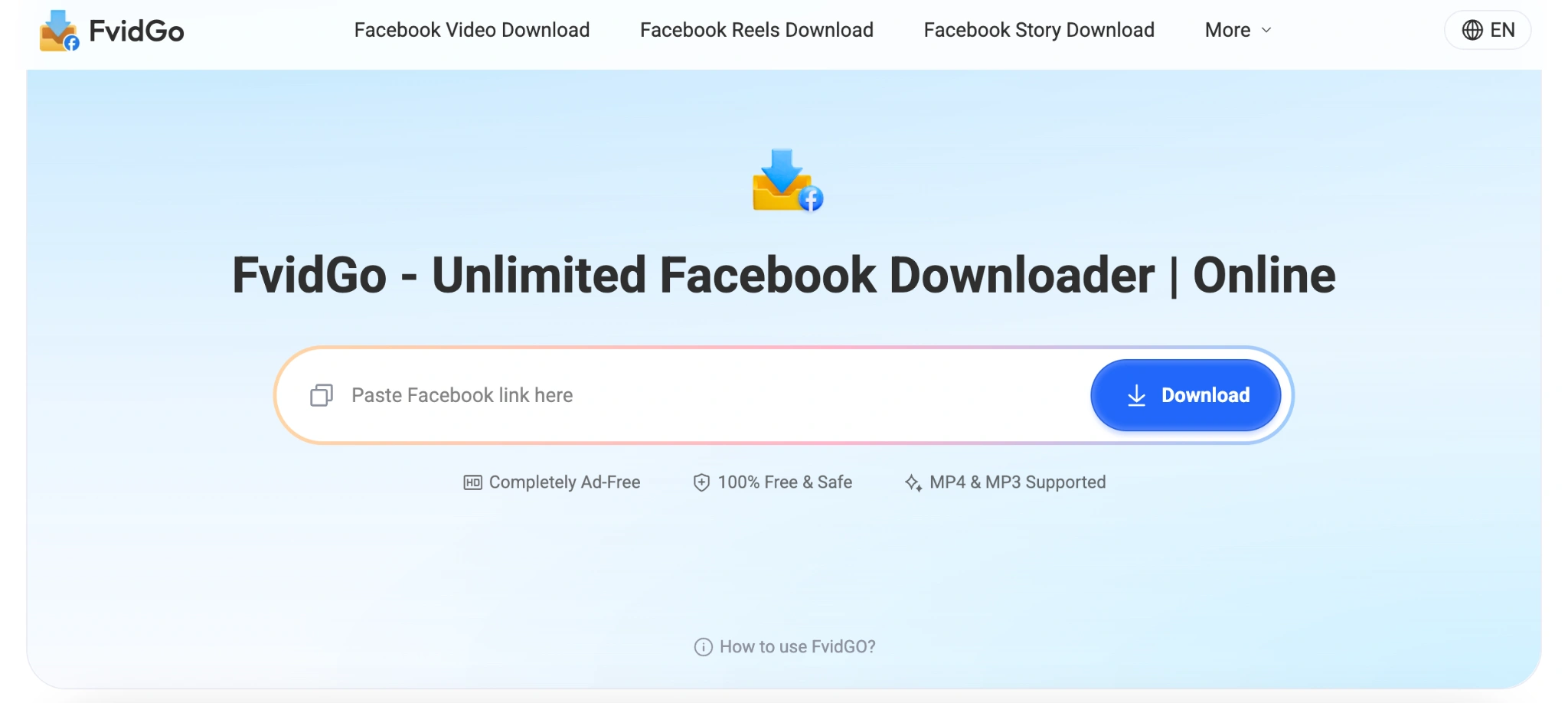 FvidGo  interface