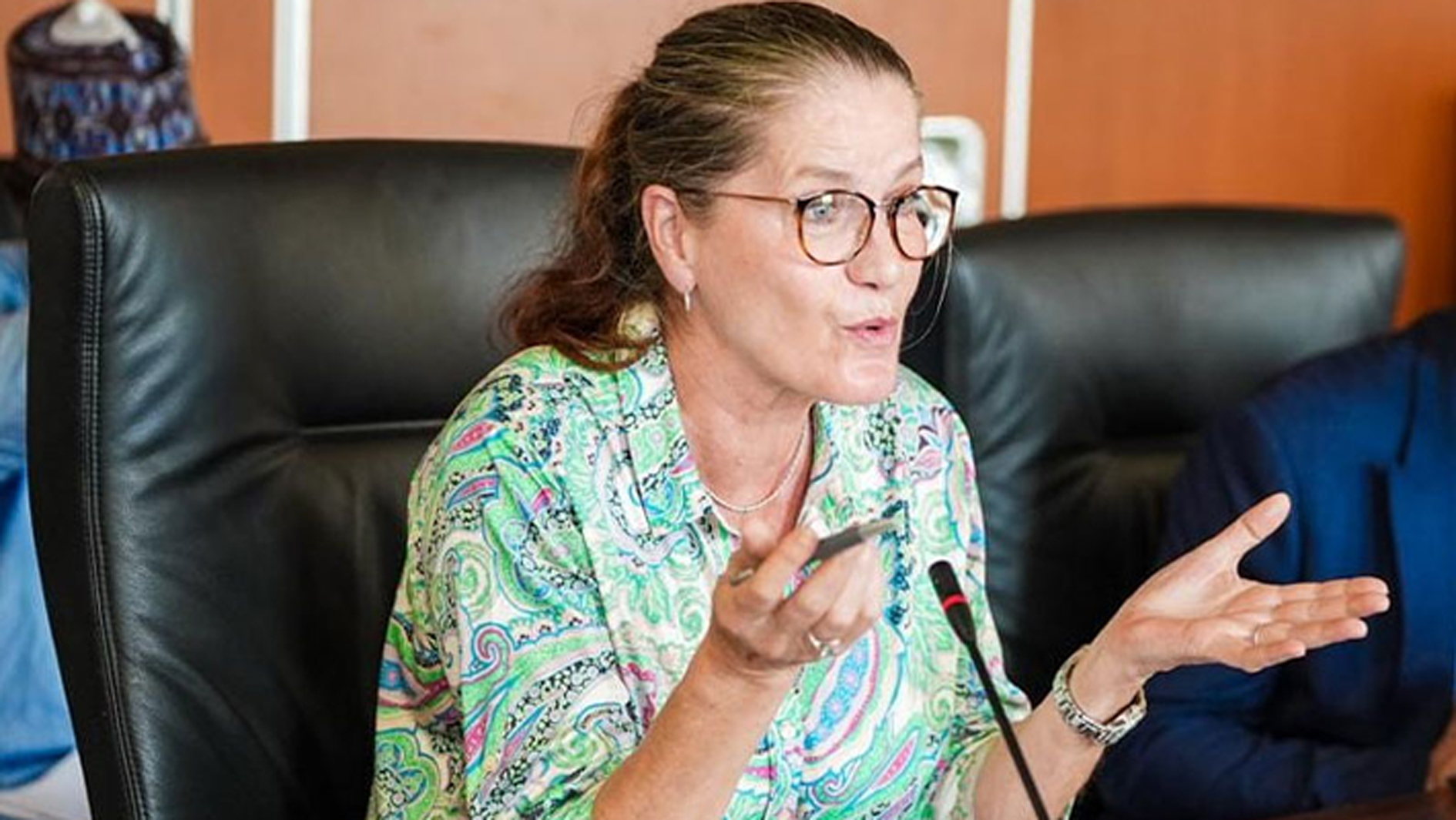 German-ambassador-to-Nigeria