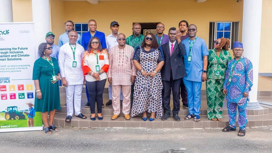 The National Root Crops Research Institute (NRCRI), Umudike, have launched the Ginger Value Chain Recovery and Sustainability Programme (GVCRSP).