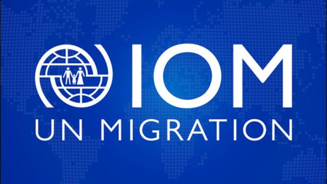 International Organisation for Migration (IOM)