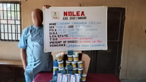 NDLEA man
