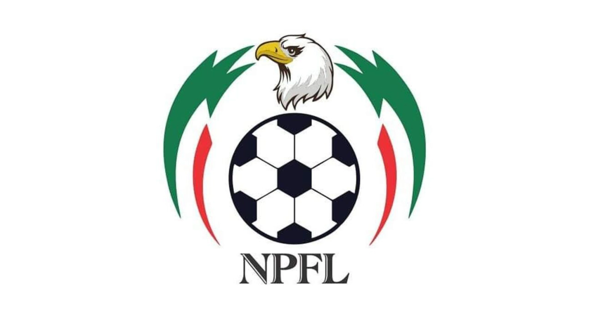 Borno sports commissioner faults proposed ₦2m salary for NPFL players