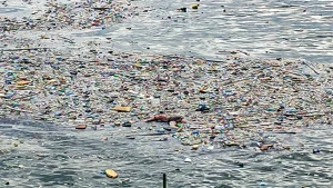 The bodies in Lagos lagoon