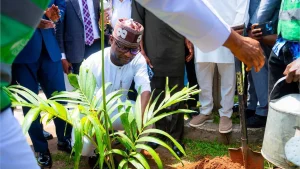 Okpebholo advocates environmentally responsible habits