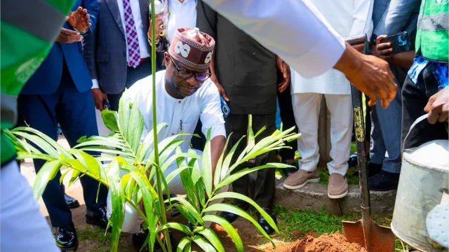 Okpebholo advocates environmentally responsible habits