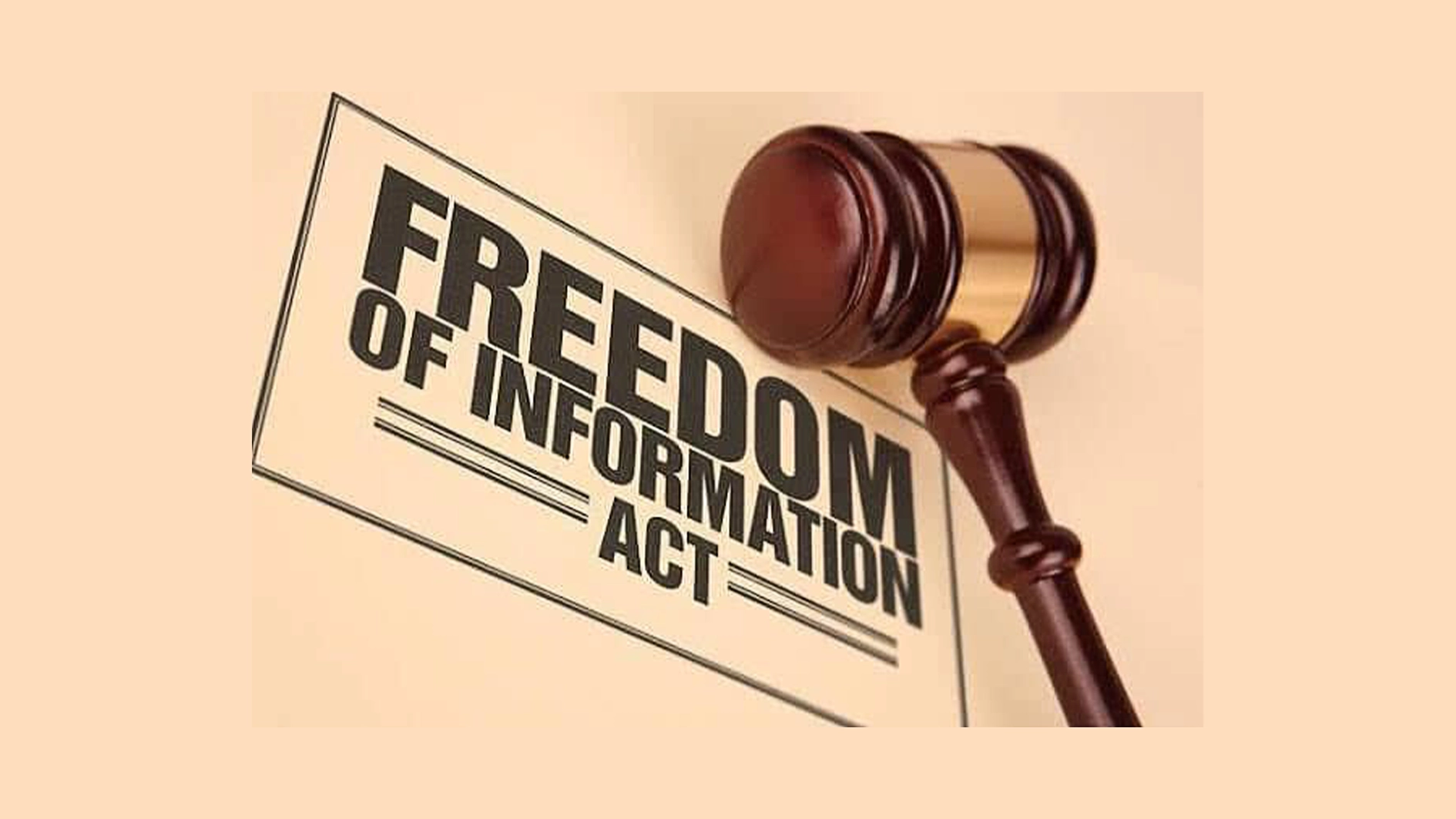 Anti-graft group seeks N500,000 fine against firm