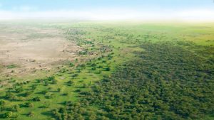 great green wall