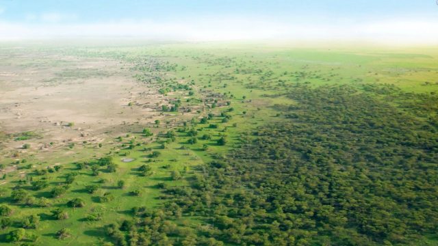 great green wall
