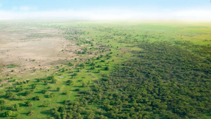 great green wall