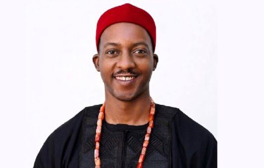 Chief Executive Officer of E-Terra Technologies Limited, Ifeanyi Ochonogor