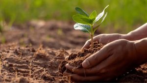 soil-health