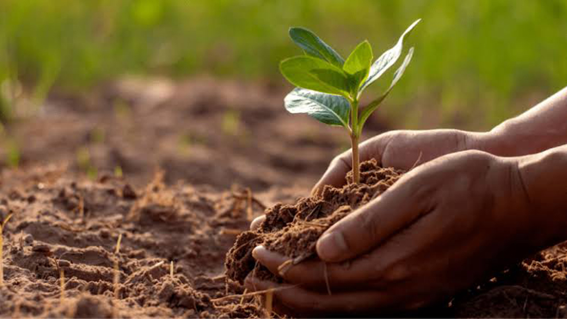 soil-health