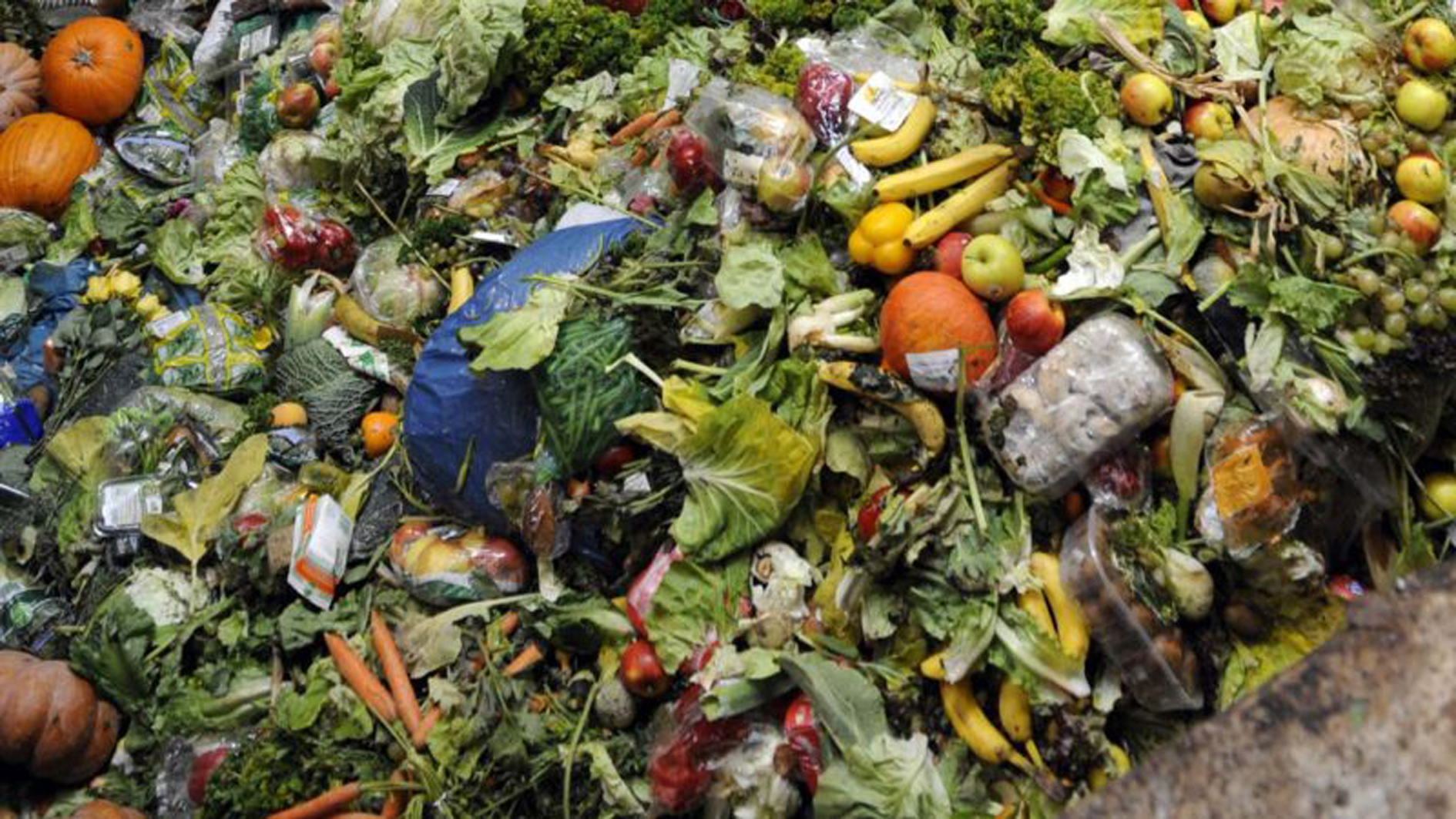 Agric-vegetable-wastes-e1532951541358