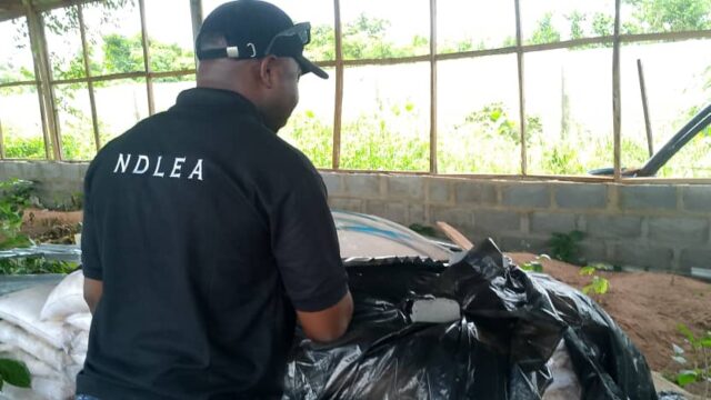 NDLEA