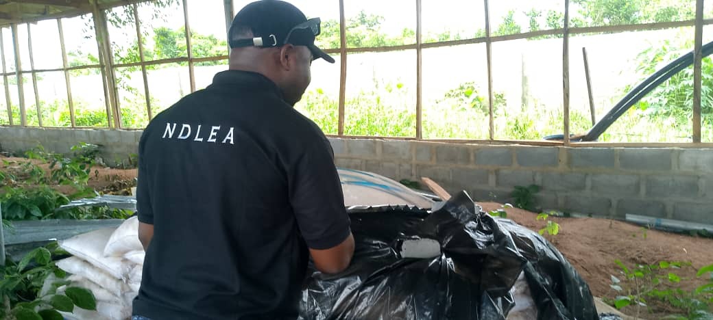 NDLEA