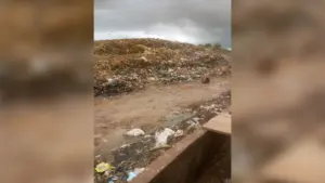 Illegal waste disposal
