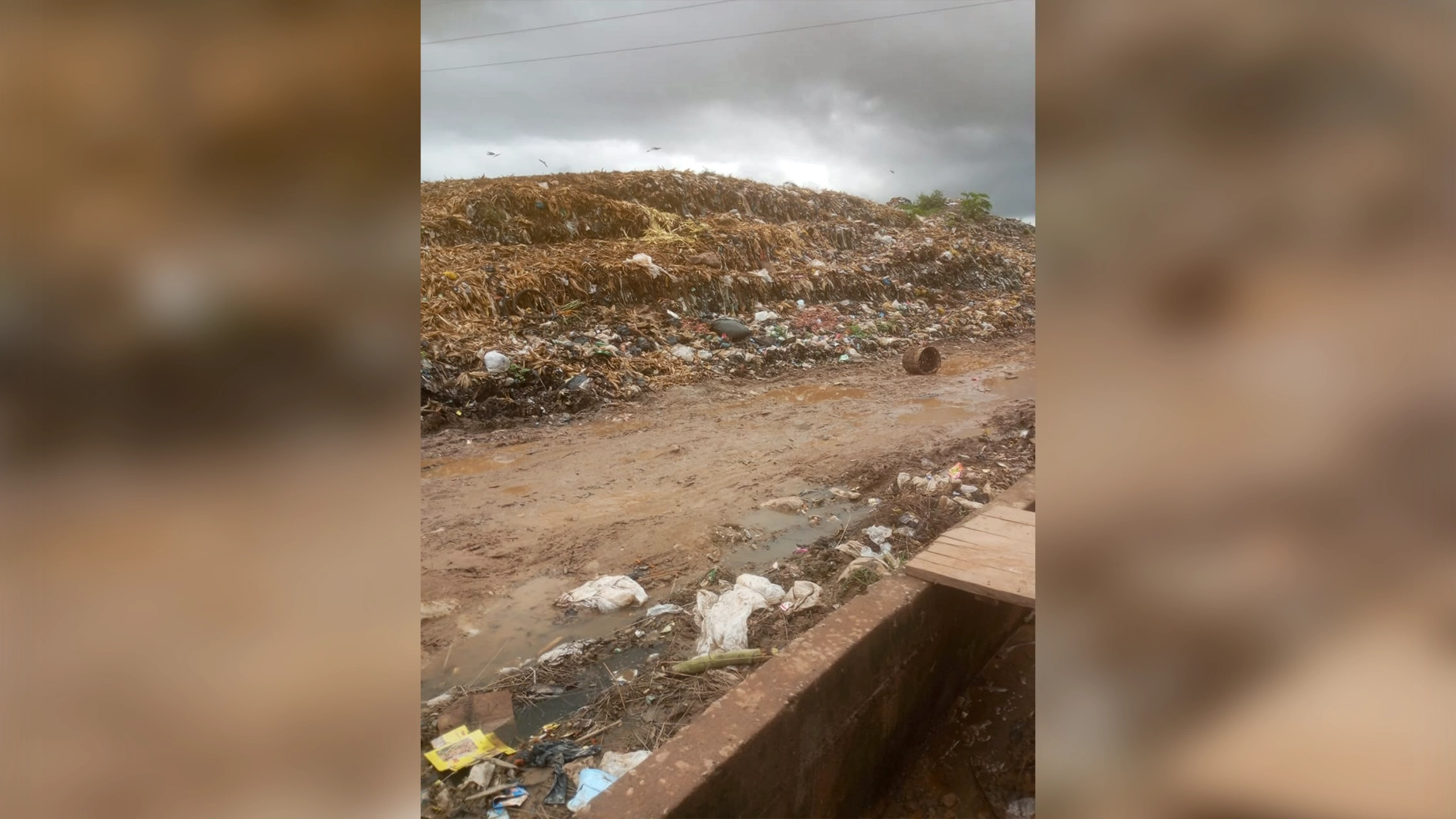 Illegal waste disposal