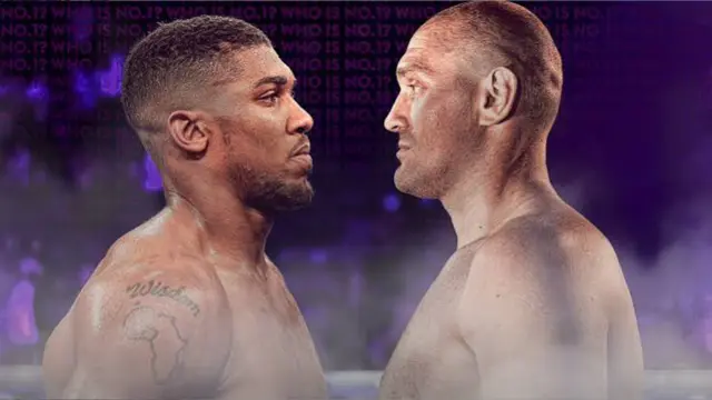 Joshua and Fury