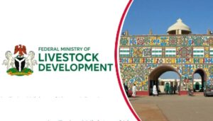 Livestock-Ministry-Allocates-N140m-For-Rehabilitation-Of-Kaduna-Emir-Palaces-Mosques
