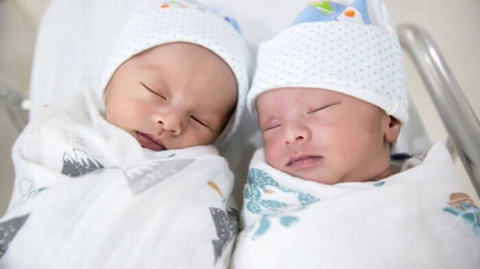 Twins babies