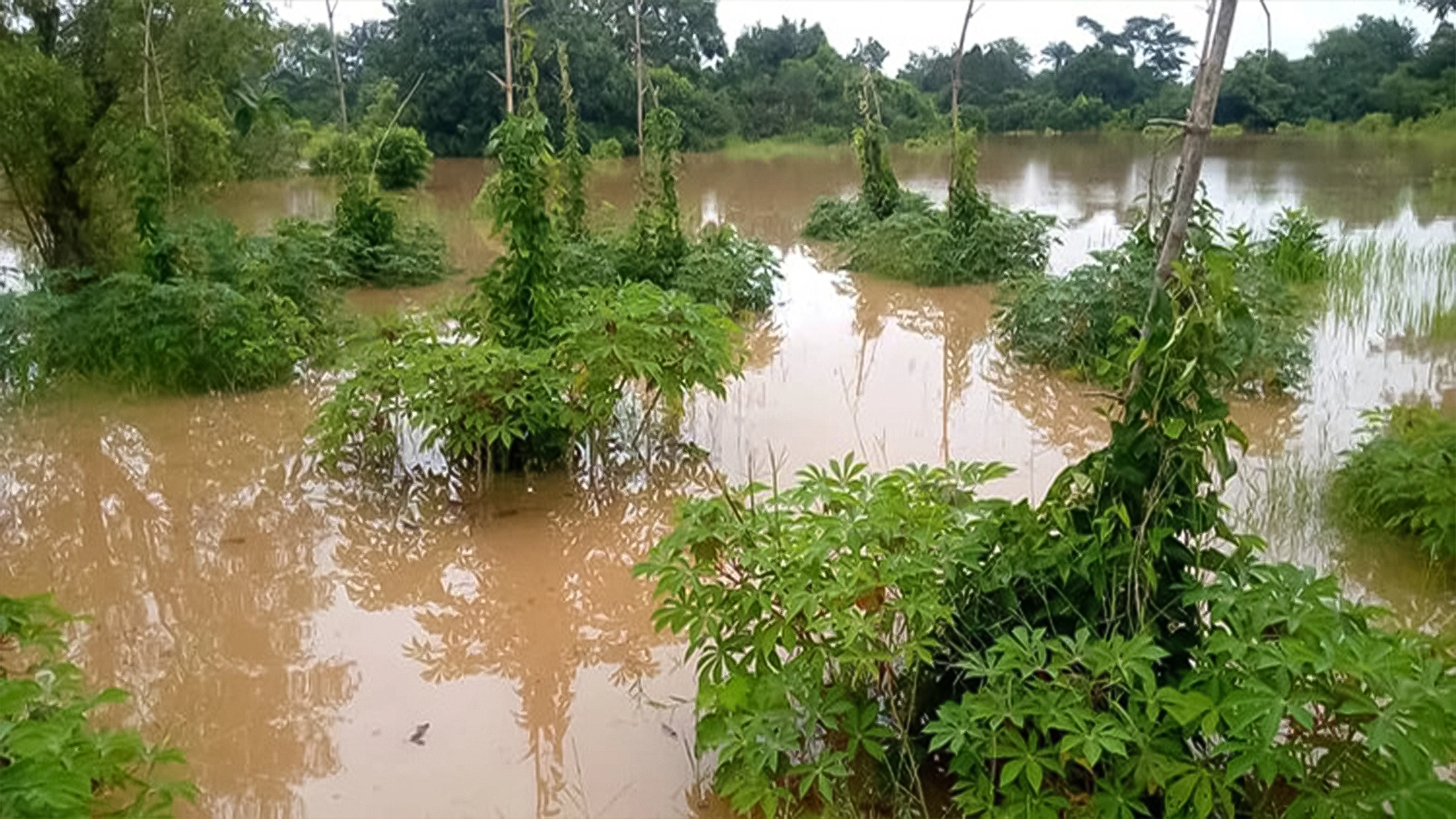 A flooded farmland in Nguzu Edda, Ebonyi State