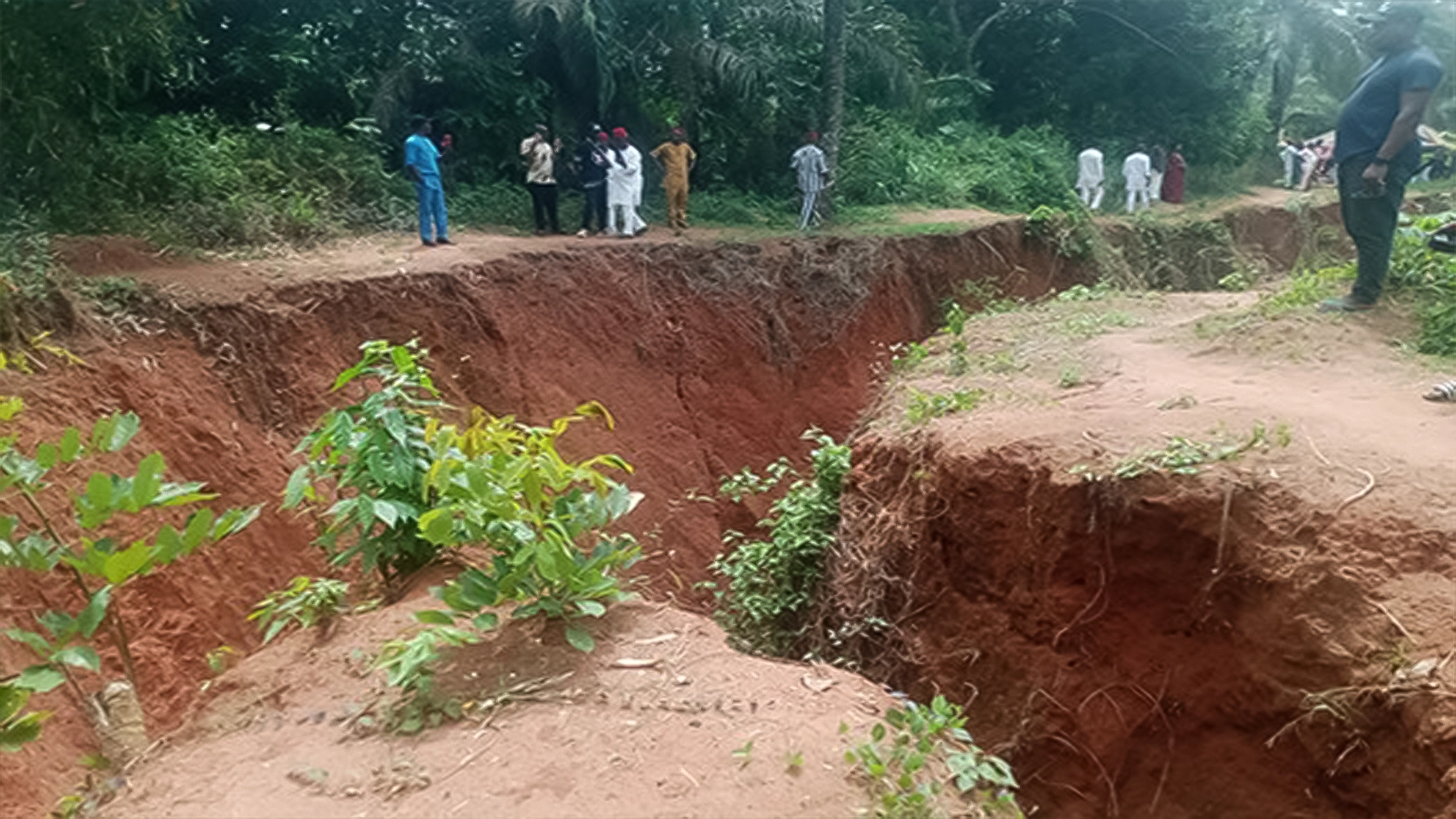 A road eaten up by gully erosion at Isiokwu-Ihioma in Imo State