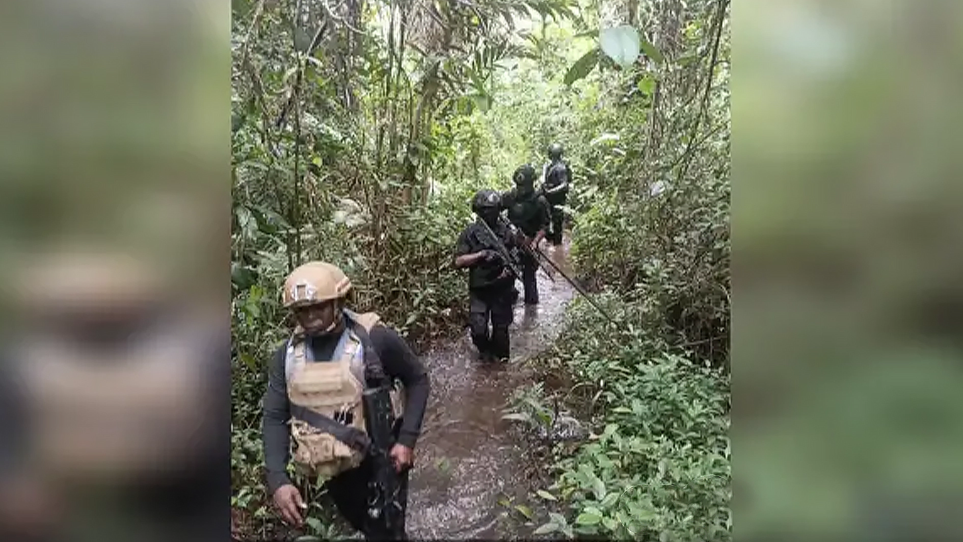 Operation Delta Sentinel