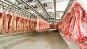 Abbattoir
