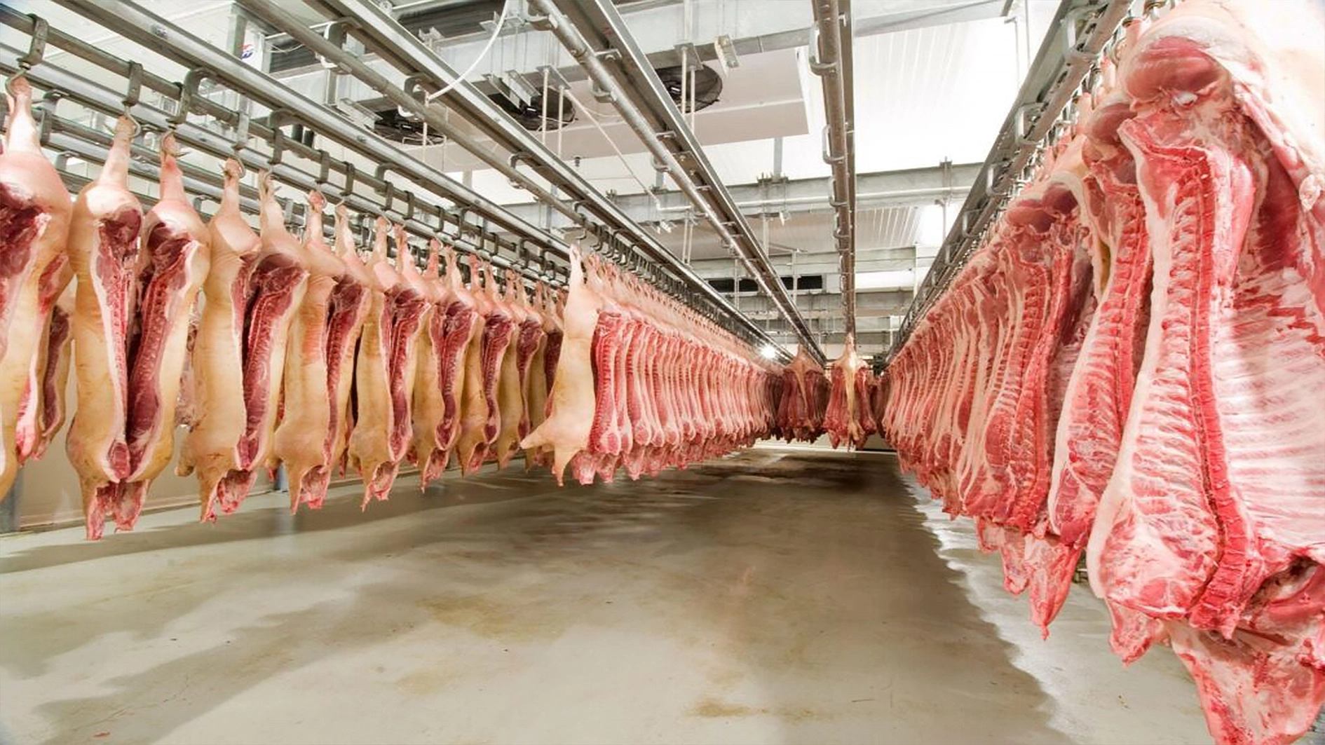 Abbattoir