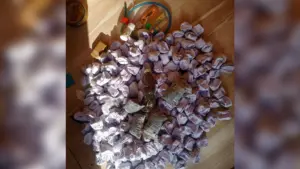Intercepted illicit drugs.