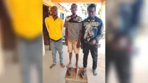 Three arrested suspects with recovered arms