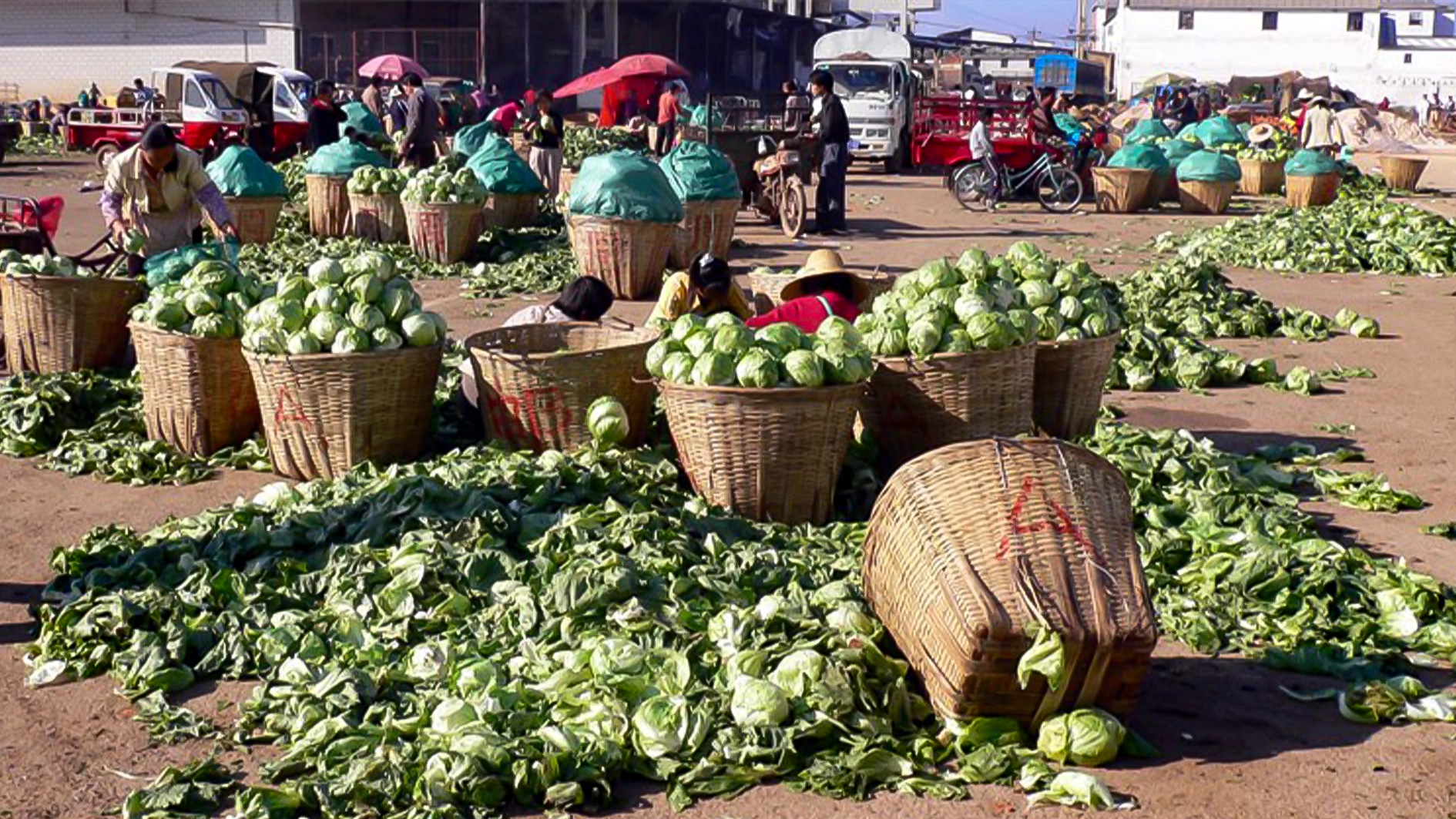 Food security paradox: How ‘hungry’ Nigeria loses 38 million tonnes to poor post-harvest plan