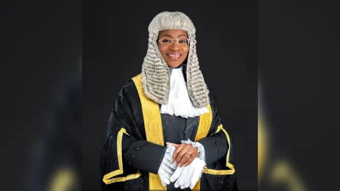 Mrs. Oyinkansola Badejo-Okusanya, SAN