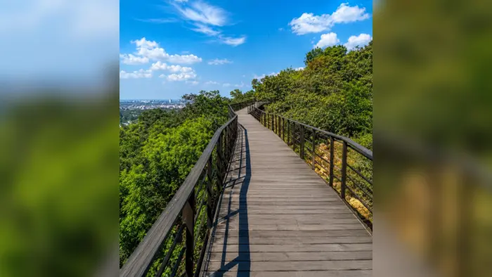 Freedom Park