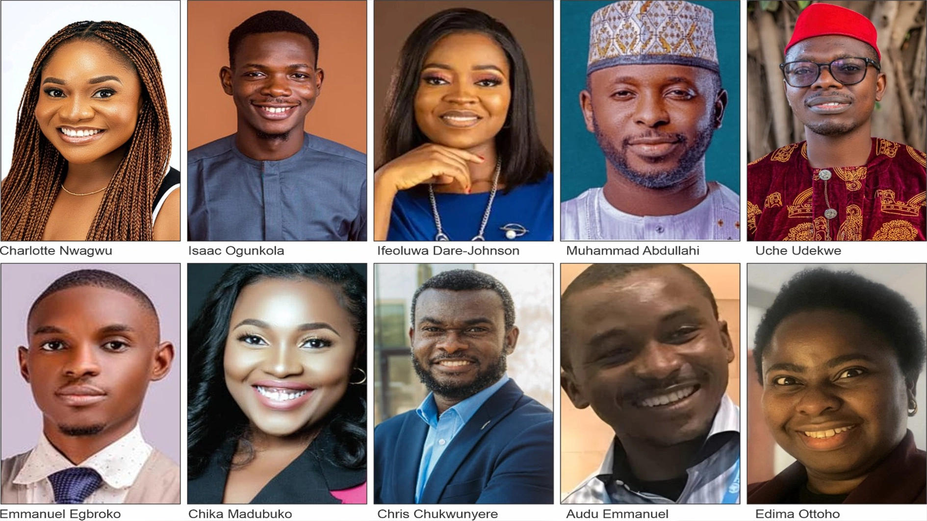 Young Nigerian Health Professionals