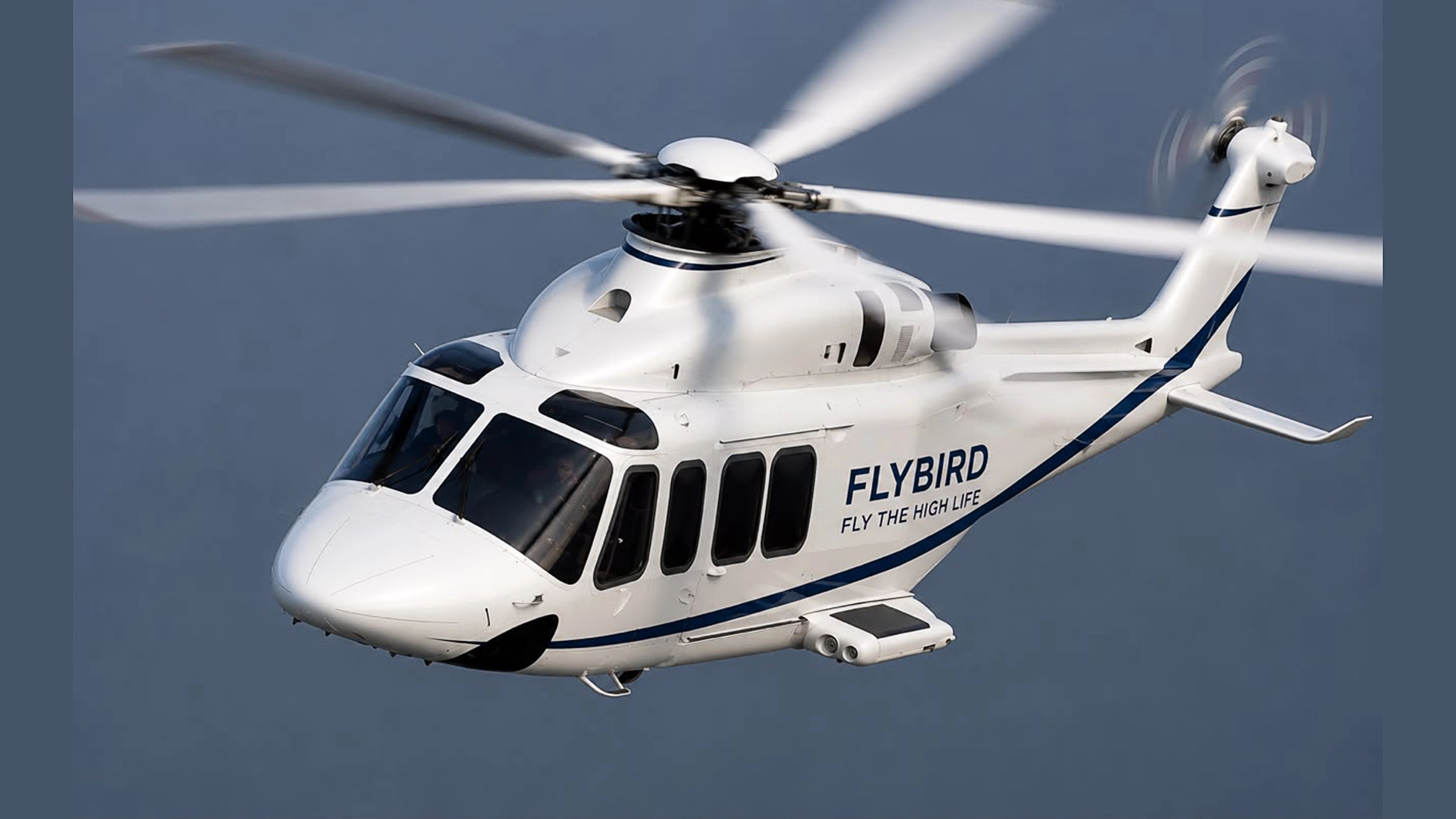 Flybird