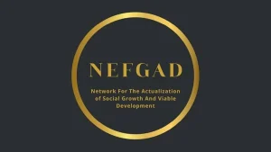 The Network for Fiscal Governance and Accountability Development (NEFGAD)