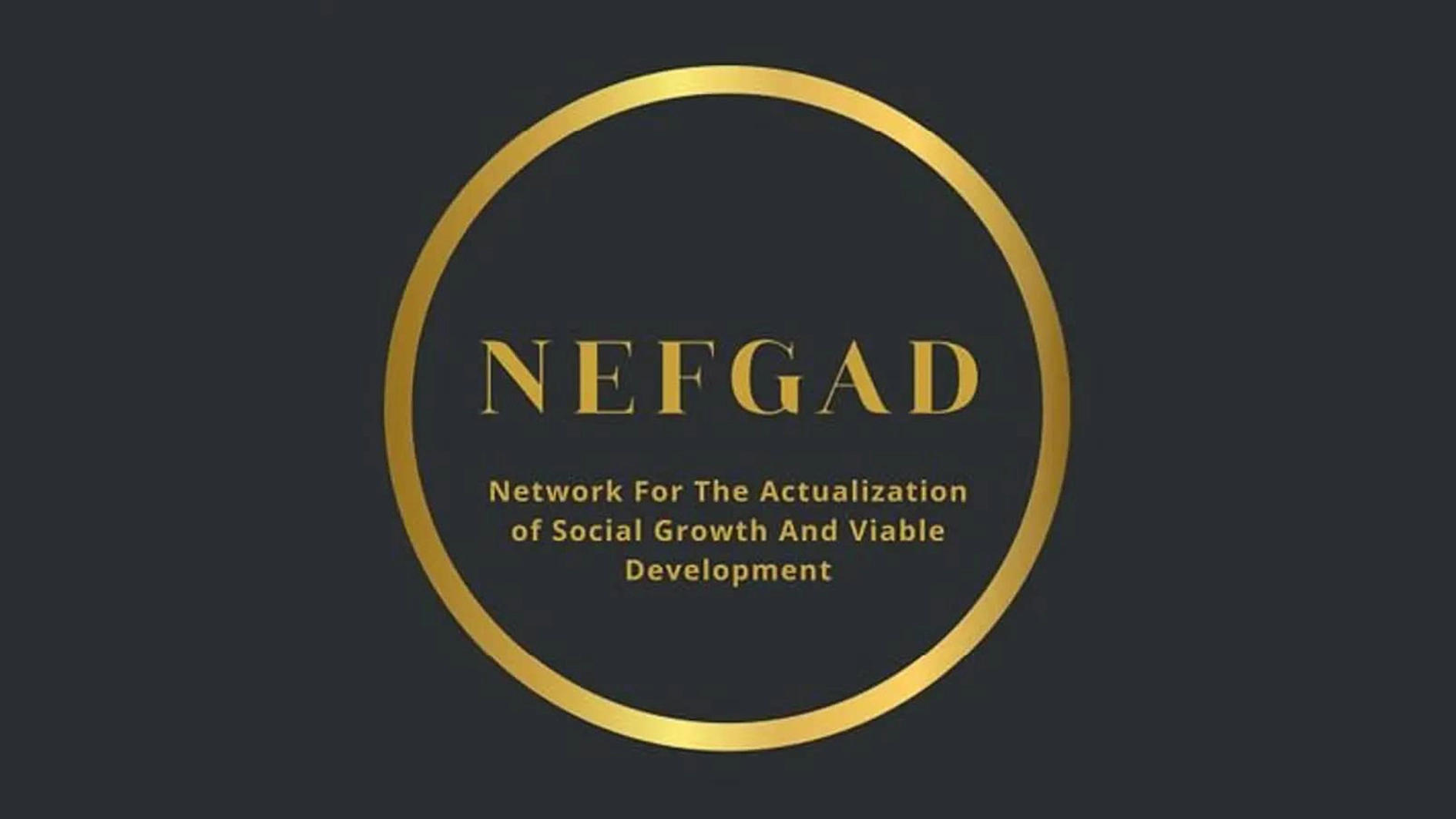 The Network for Fiscal Governance and Accountability Development (NEFGAD)