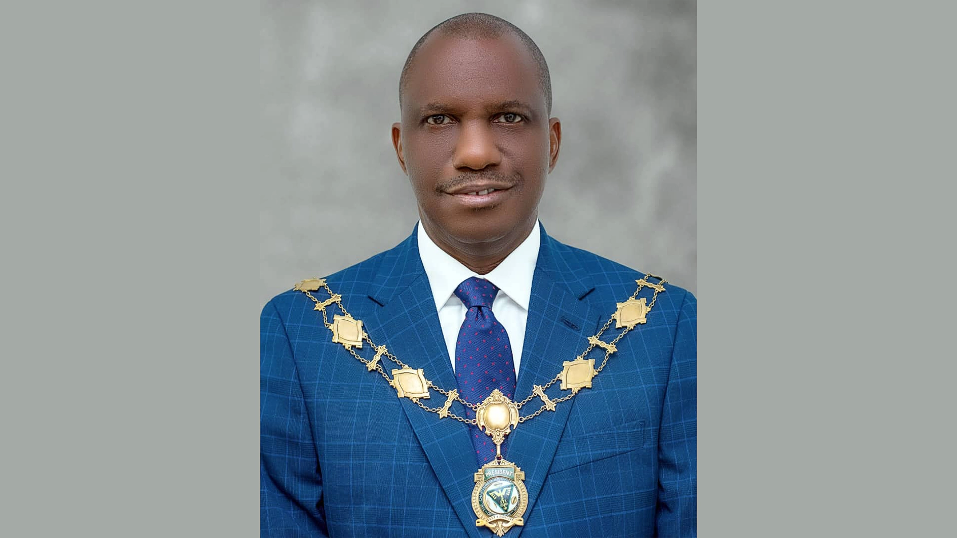 Chairman of CIBN’s Council, Dr Dele Alabi