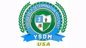 YSDM