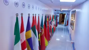 VFS Global