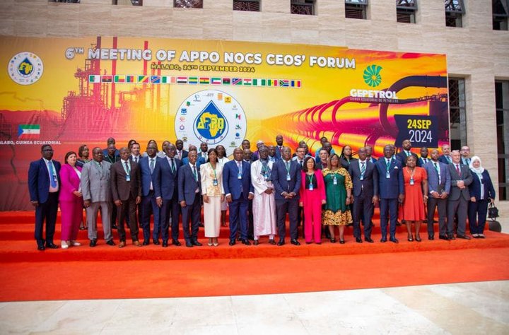 African Energy Week 2026