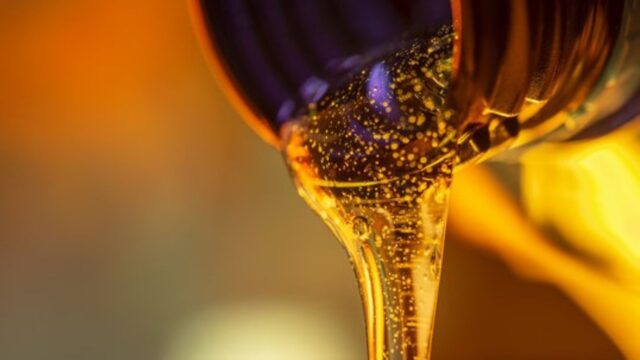 Golden Terra Smart Balance Oil