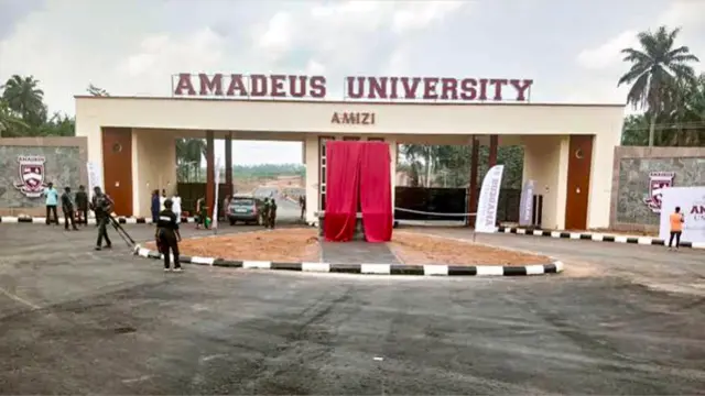 AMADEUS University