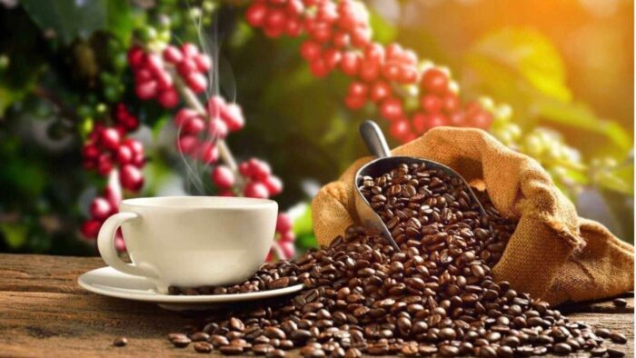 Coffee Seeds